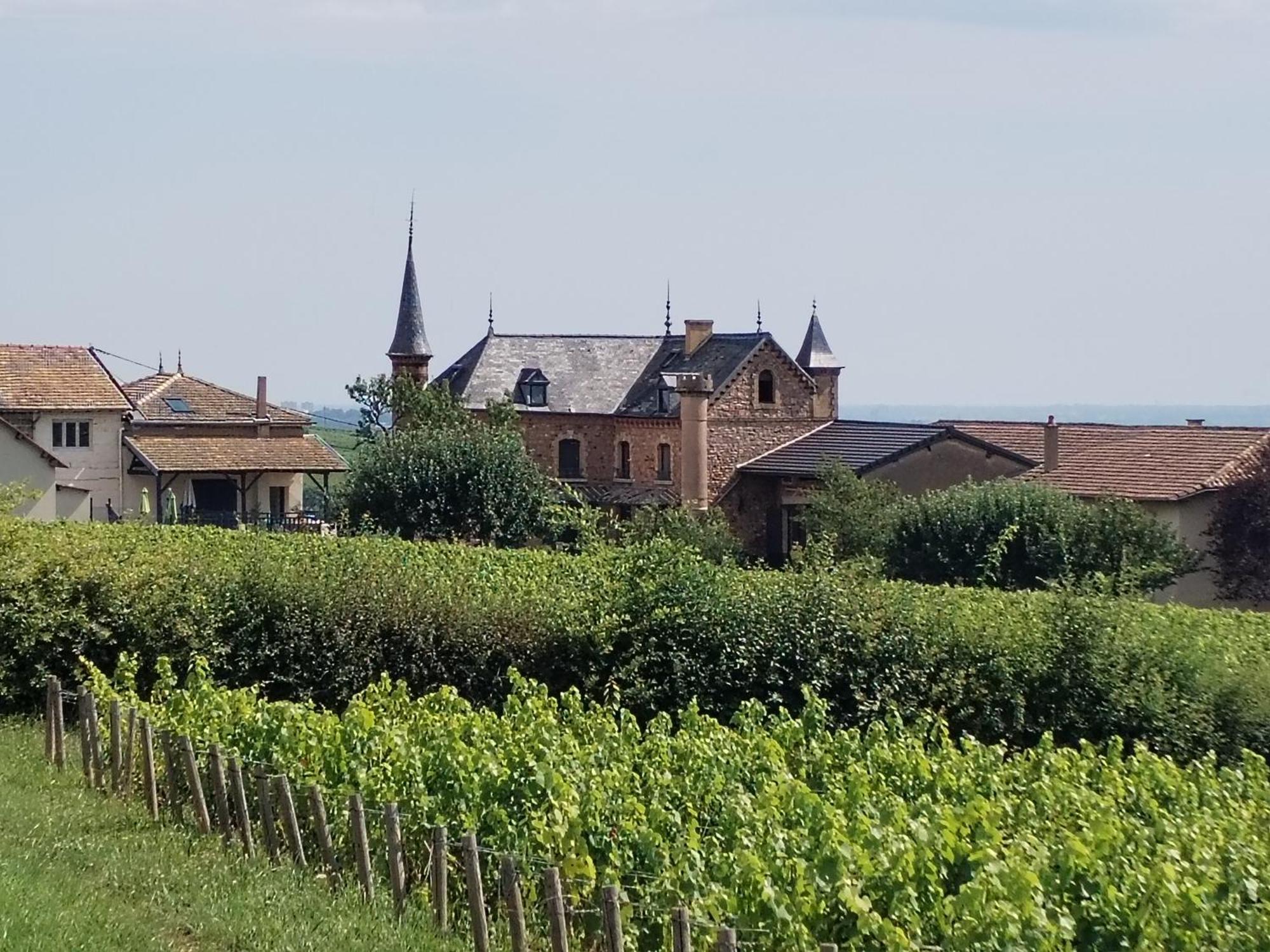 Le Petit Chateau De Sathonat - Horizon Paradis Saint-Amour-Bellevue 외부 사진